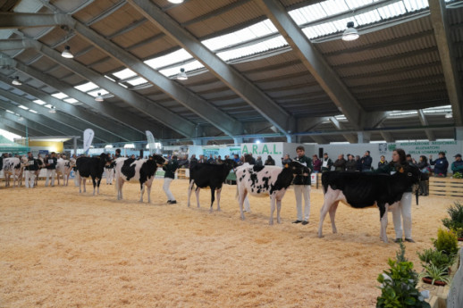 229^ edizione della fiera agricola autunnale 229^ edizione della fiera agricola autunnale