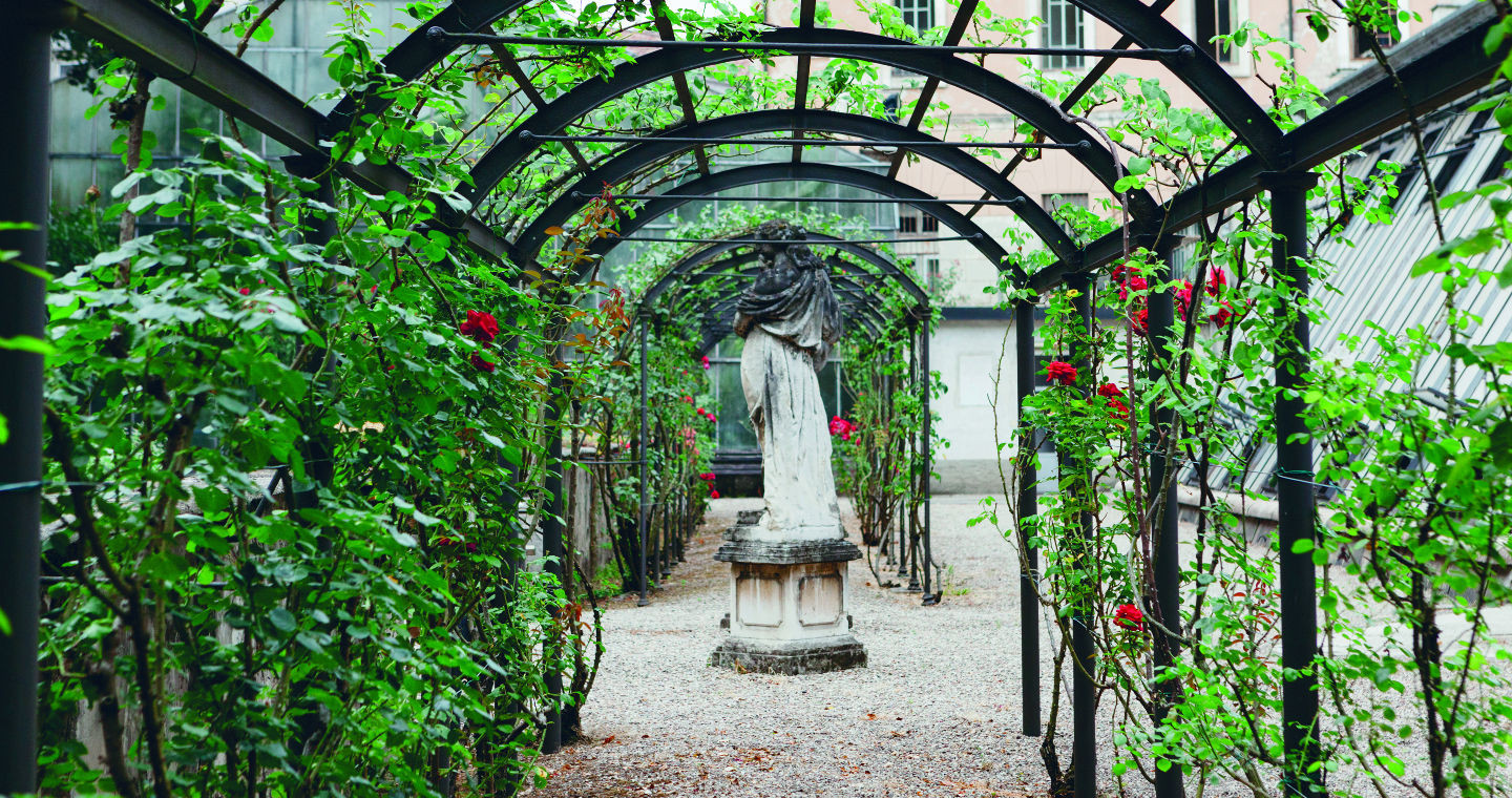 Pavia: Orto Botanico 