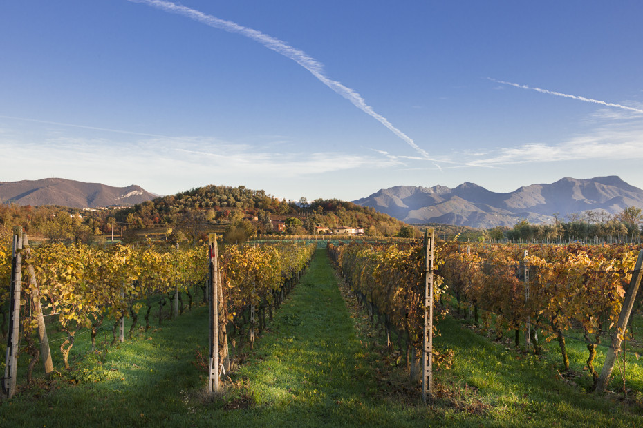 Franciacorta Wine Road