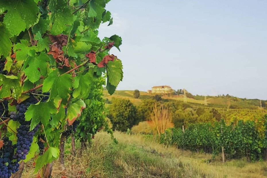 San Colombano Wine and Lodi Flavours Road