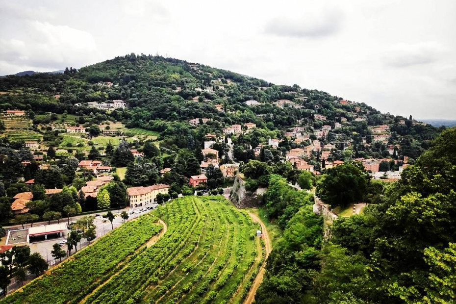 Colli dei Longobardi Wine Road